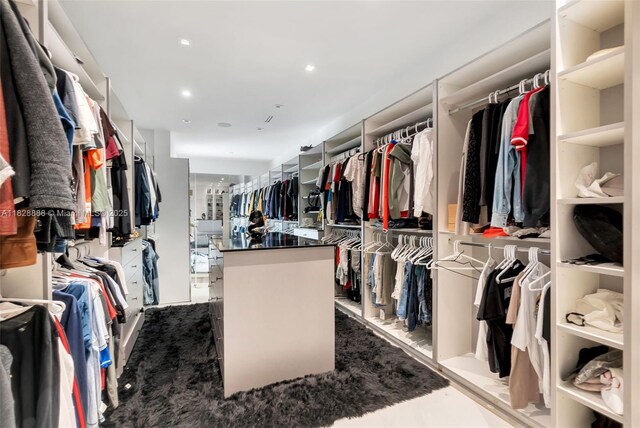 13441 Mustang Trl, Southwest Ranches, FL 33330 - view of walk in closet