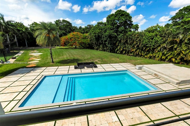13441 Mustang Trl, Southwest Ranches, FL 33330 - swimming pool with a lawn and a patio area