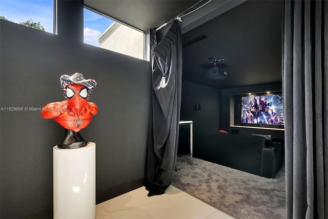 13441 Mustang Trl, Southwest Ranches, FL 33330 - view of cinema