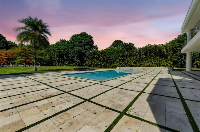 13441 Mustang Trl, Southwest Ranches, FL 33330 - outdoor pool with a patio