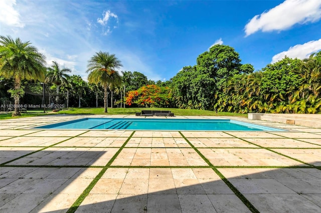 13441 Mustang Trl, Southwest Ranches, FL 33330 - outdoor pool featuring a patio area, view of wooded area, and a lawn