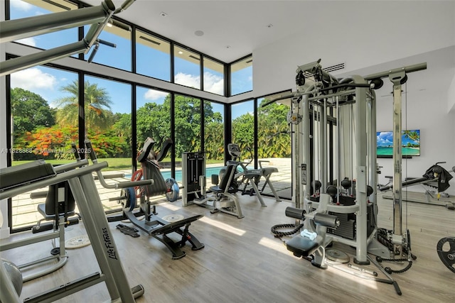 13441 Mustang Trl, Southwest Ranches, FL 33330 - gym featuring expansive windows, wood finished floors, and a high ceiling