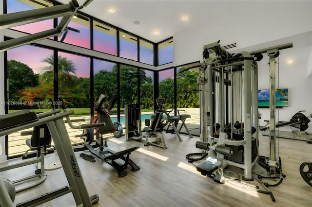 13441 Mustang Trl, Southwest Ranches, FL 33330 - workout area with wood finished floors, a towering ceiling, and floor to ceiling windows