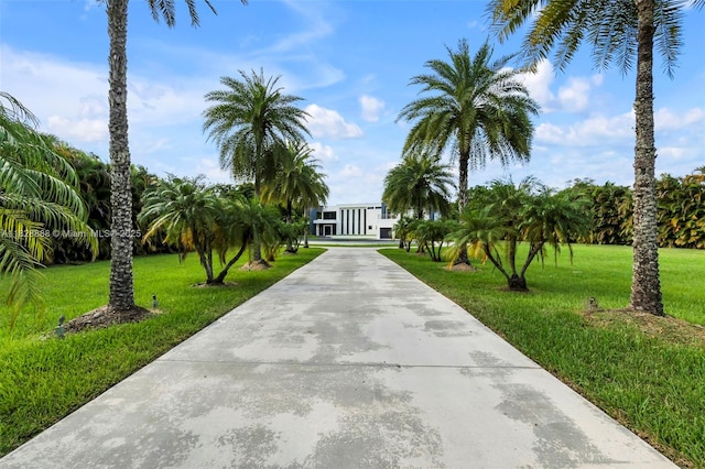 13441 Mustang Trl, Southwest Ranches, FL 33330 - view of home's community with a yard and driveway