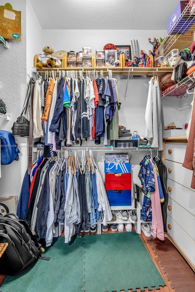 10700 NW 66th St Unit 308, Doral, FL 33178 - walk in closet with wood finished floors