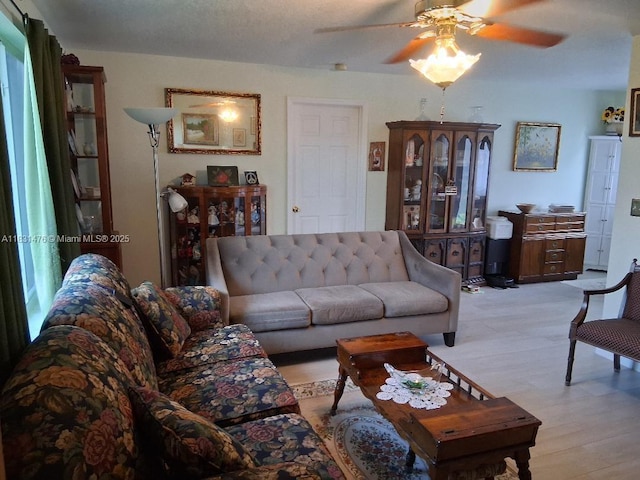 1721 NW 8th St, Homestead, FL 33030 - photo 3