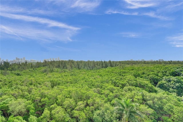 14951 Royal Oaks Ln Unit 806, North Miami, FL 33181 - view of woods
