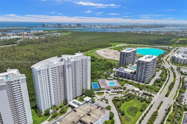 14951 Royal Oaks Ln Unit 806, North Miami, FL 33181 - view of urban area with a large body of water and a pool