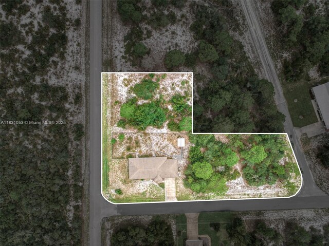 100 Kayla, Lake Placid, FL 33852 - photo 37