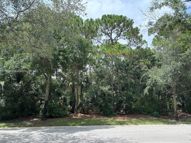1992 SW Danforth Cir, Palm City, FL 34990 - photo 33