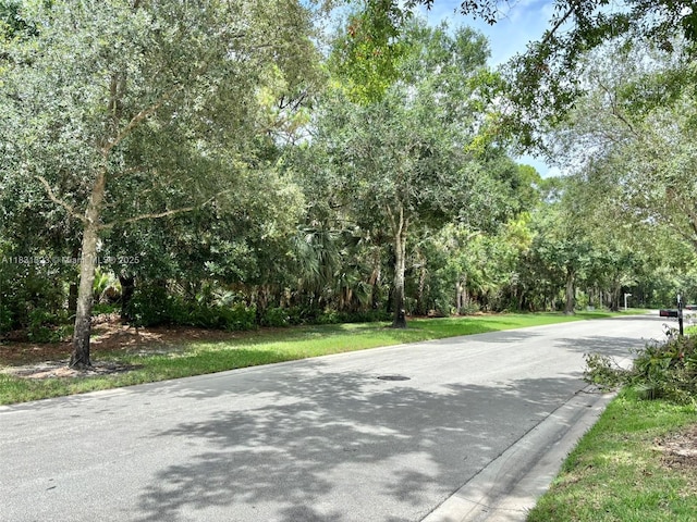 1992 SW Danforth Cir, Palm City, FL 34990 - photo 34
