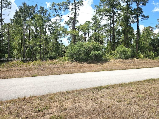 517 Hines Ave, Lehigh Acres, FL 33972 - photo 1