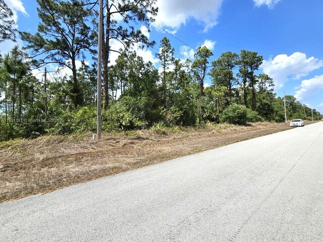 517 Hines Ave, Lehigh Acres, FL 33972 - photo 3