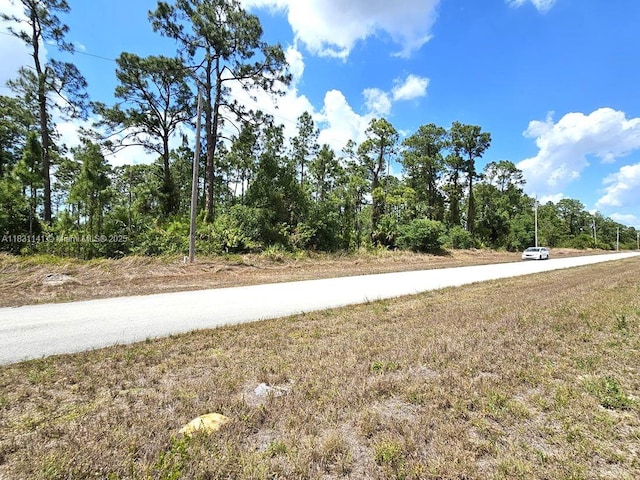 517 Hines Ave, Lehigh Acres, FL 33972 - photo 4