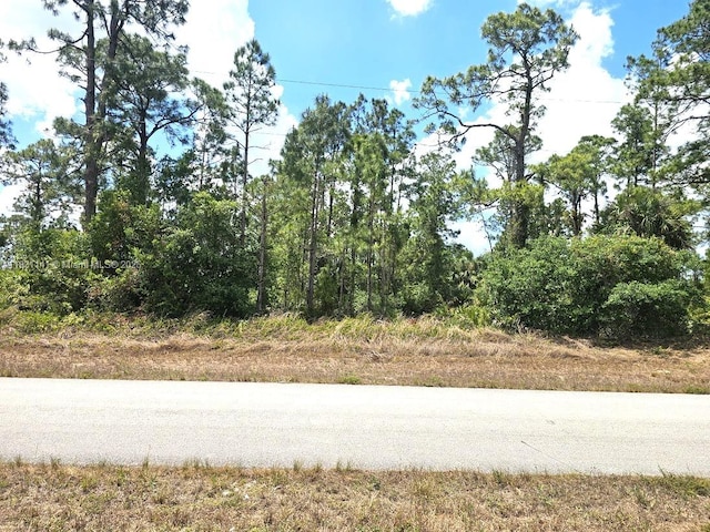 517 Hines Ave, Lehigh Acres, FL 33972 - photo 5