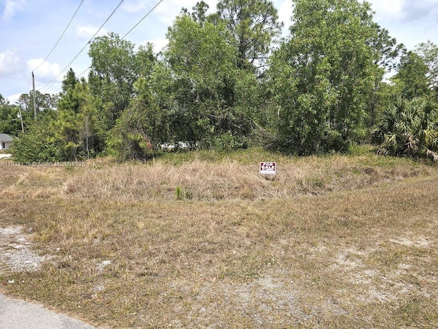 107 Nacelle Ct, Lehigh Acres, FL 33974 - photo 4