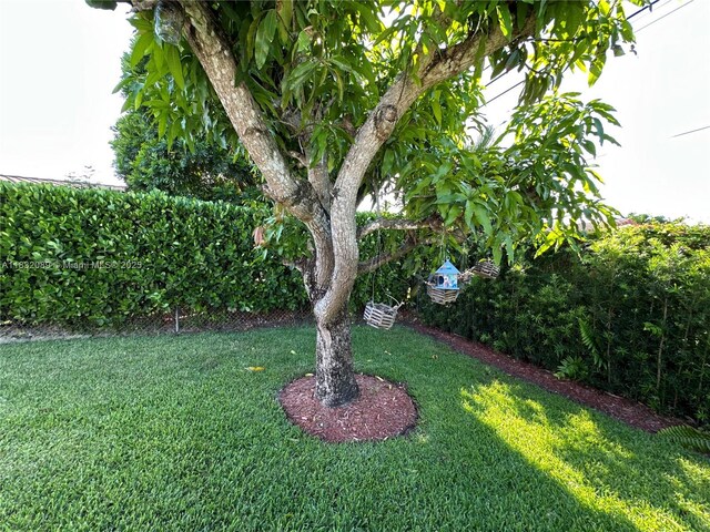 8821 SW 87th St, Miami, FL 33173 - view of green lawn