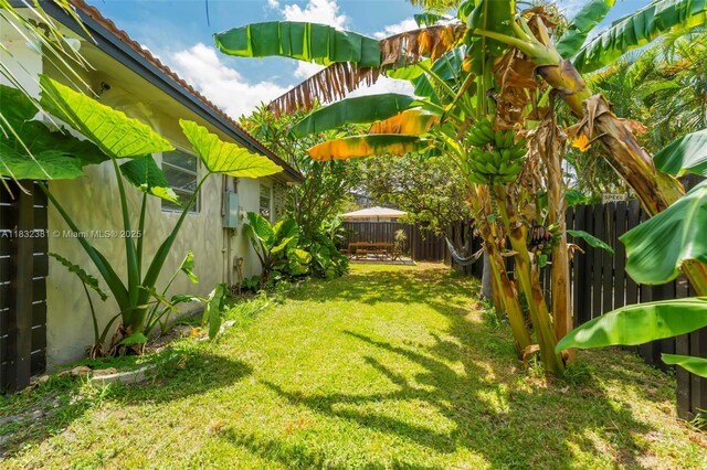 1201 Buchanan St, Hollywood, FL 33019 - photo 44