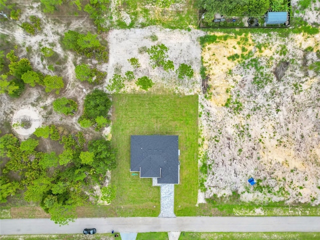 1018 Calvin Ave, Lehigh Acres, FL 33972 - view of subject property