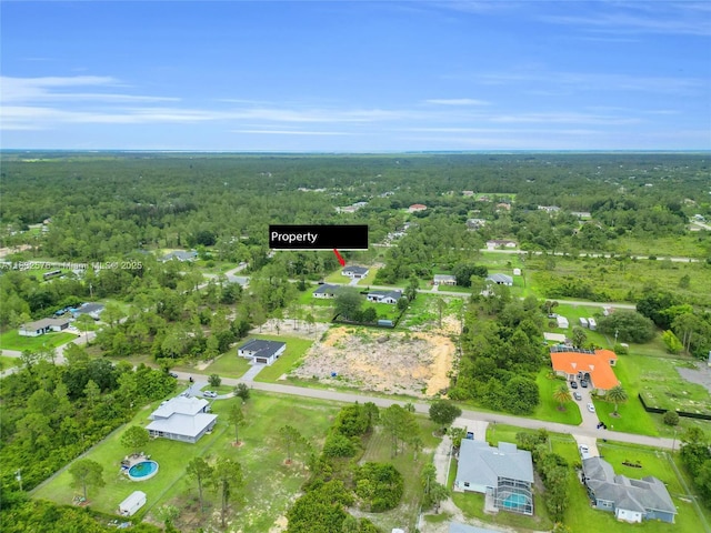 1018 Calvin Ave, Lehigh Acres, FL 33972 - aerial view of property's location featuring a heavily wooded area