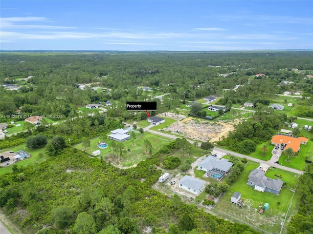 1018 Calvin Ave, Lehigh Acres, FL 33972 - aerial overview of property's location with a heavily wooded area