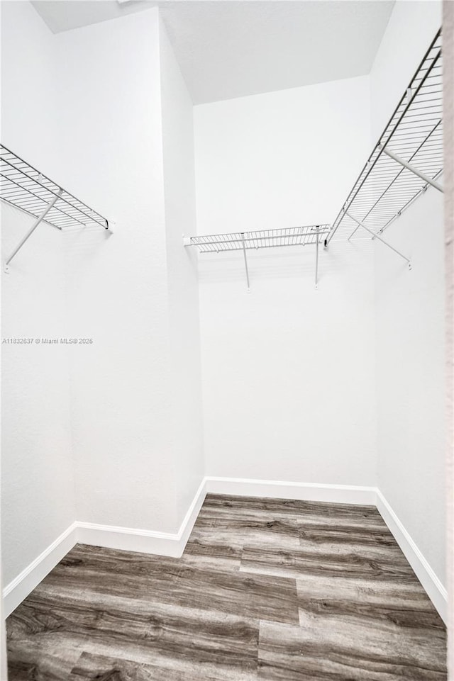 5013 Vulcan Way, Davie, FL 33314 - walk in closet with wood finished floors