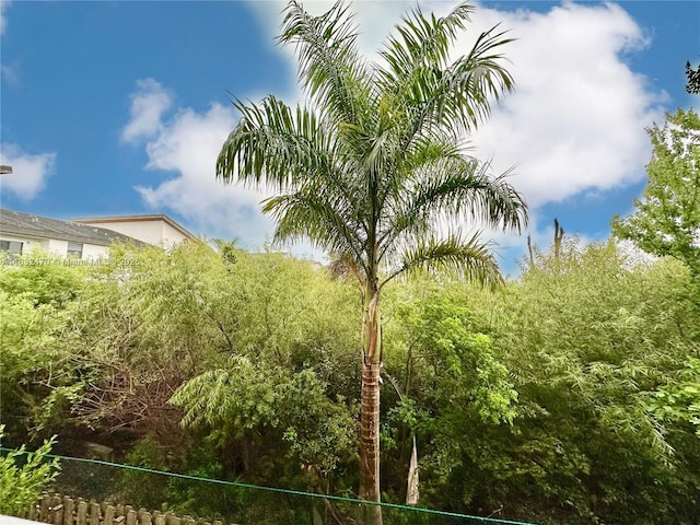 8031 NW 104th Ave Unit 21, Doral, FL 33178 - view of local wilderness