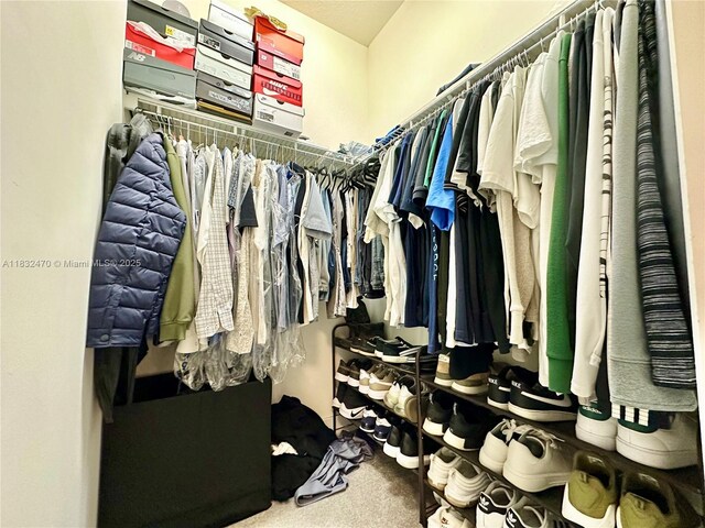 8031 NW 104th Ave Unit 21, Doral, FL 33178 - walk in closet featuring carpet floors