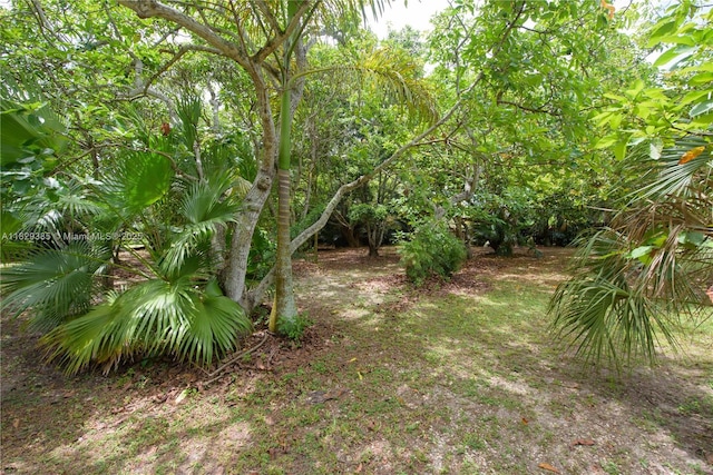 20350 SW 182nd Ave, Miami, FL 33187 - view of yard