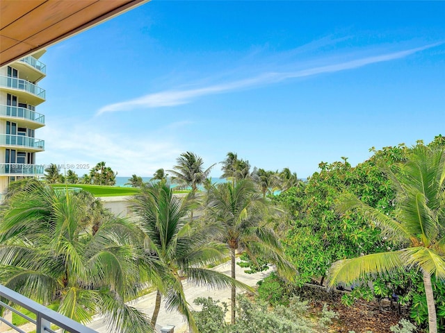 324 Balboa St, Hollywood, FL 33019 - photo 38