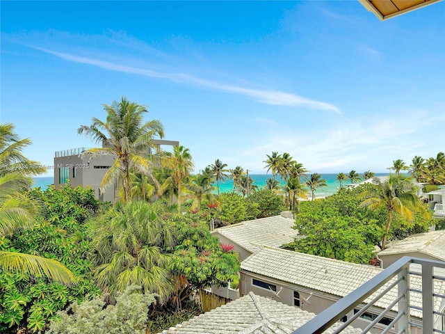 324 Balboa St, Hollywood, FL 33019 - photo 43