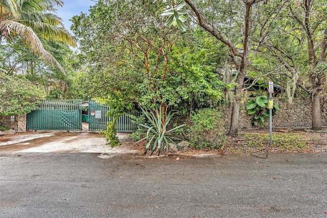3041 Oak Ave, Miami, FL 33133 - photo 17