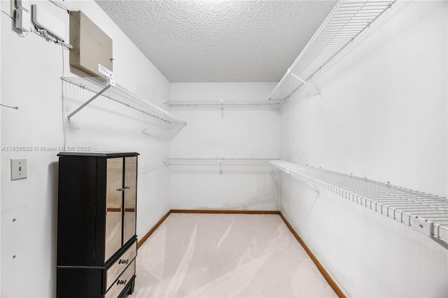 7824 SW 118th Ct, Miami, FL 33183 - photo 26