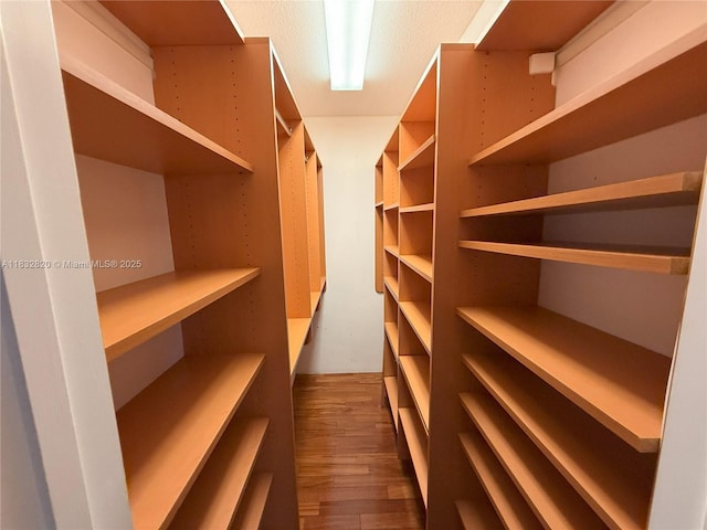 1965 SW 81st Way, Davie, FL 33324 - walk in closet with dark wood-style flooring