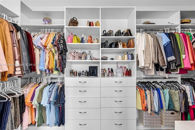 1005 NW 100th Ave, Miami, FL 33172 - view of spacious closet