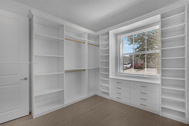 14549 Bretton Woods Trce, Delray Beach, FL 33446 - walk in closet with wood finished floors