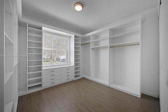 14549 Bretton Woods Trce, Delray Beach, FL 33446 - spacious closet featuring dark wood-style flooring
