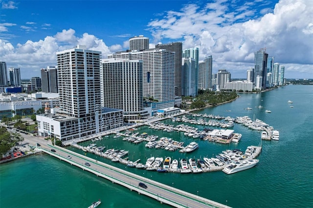 555 NE 15th St Unit 15B, Miami, FL 33132 - aerial view of city skyline and a large body of water