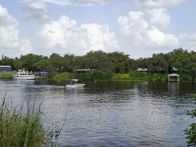 442 Caloosa Ests, La Belle, FL 33935 - photo 5