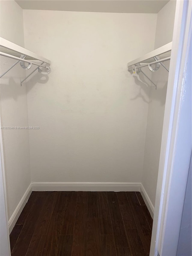 15661 SW 104th Ter Unit 3112, Miami, FL 33196 - walk in closet featuring dark wood-type flooring