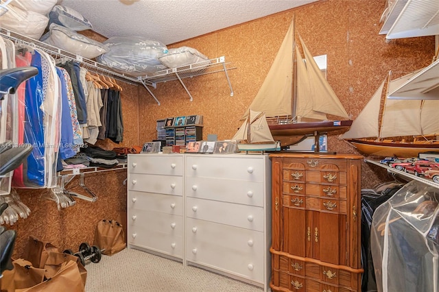 8445 SW 80th Pl, Miami, FL 33143 - spacious closet with carpet floors