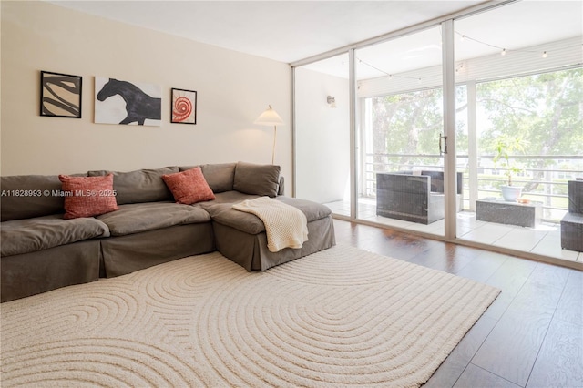 living room featuring wood finished floors and expansive windows