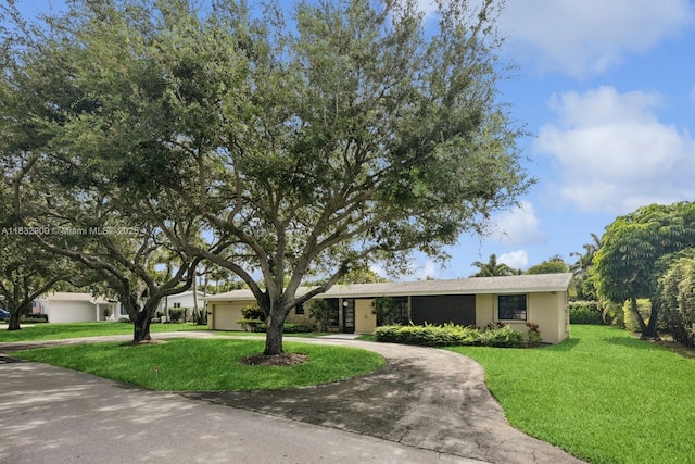 15471 SW 83rd Ave, Palmetto Bay, FL 33157 - ranch-style home with concrete driveway, a front lawn, a garage, and stucco siding