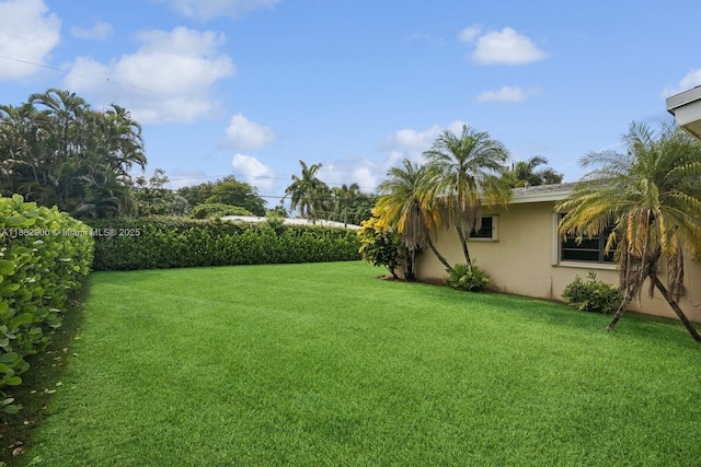 15471 SW 83rd Ave, Palmetto Bay, FL 33157 - view of green lawn