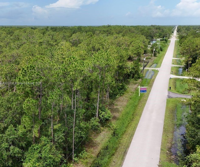 4140 NE 47th Ave, Naples, FL 34120 - photo 3