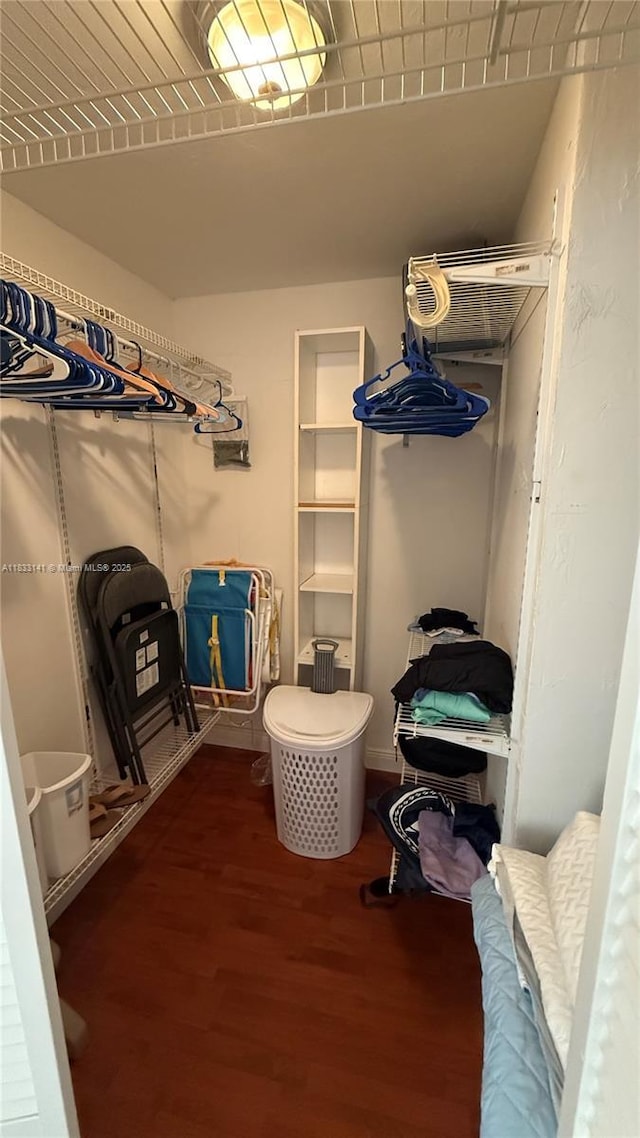 110 SW 64th Ct, Miami, FL 33144 - spacious closet with wood finished floors