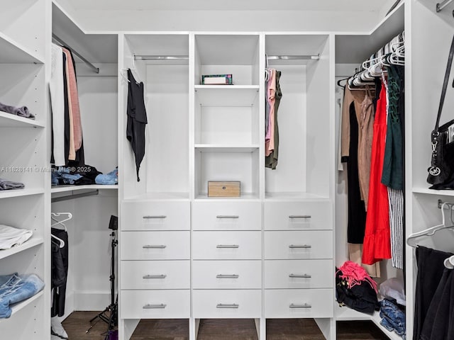 171 NW 152nd Ave, Pembroke Pines, FL 33028 - view of walk in closet