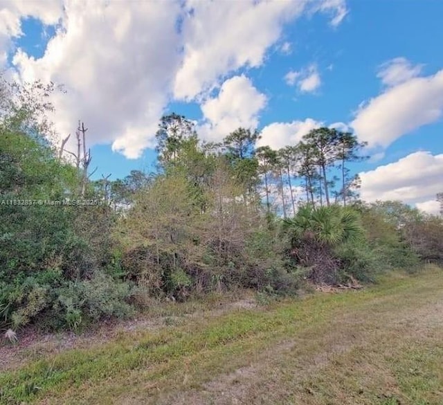 305 Yeehaw Ave, Clewiston, FL 33040 - photo 1