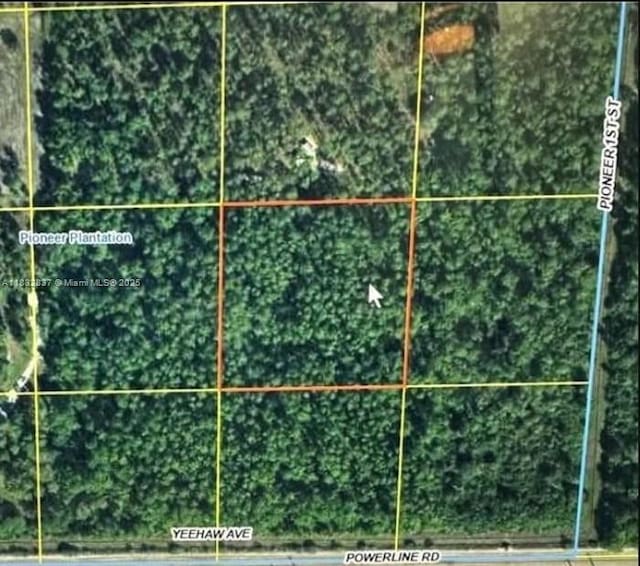 305 Yeehaw Ave, Clewiston, FL 33040 - photo 2