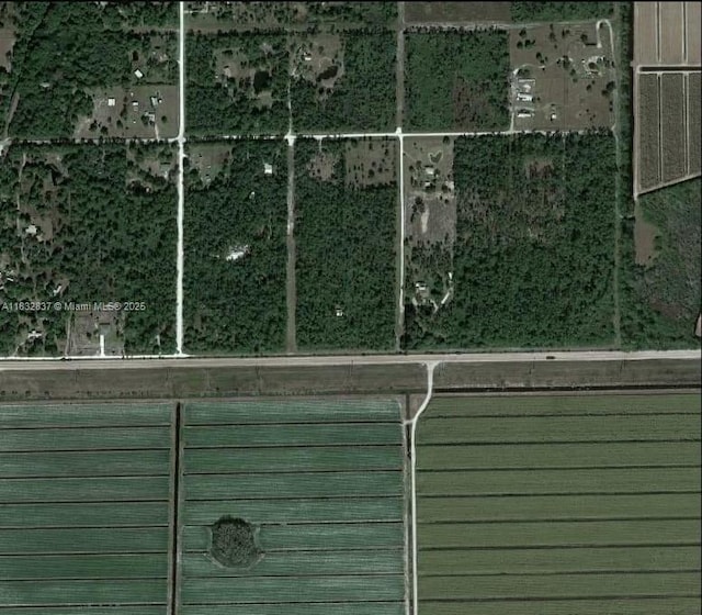 305 Yeehaw Ave, Clewiston, FL 33040 - photo 3